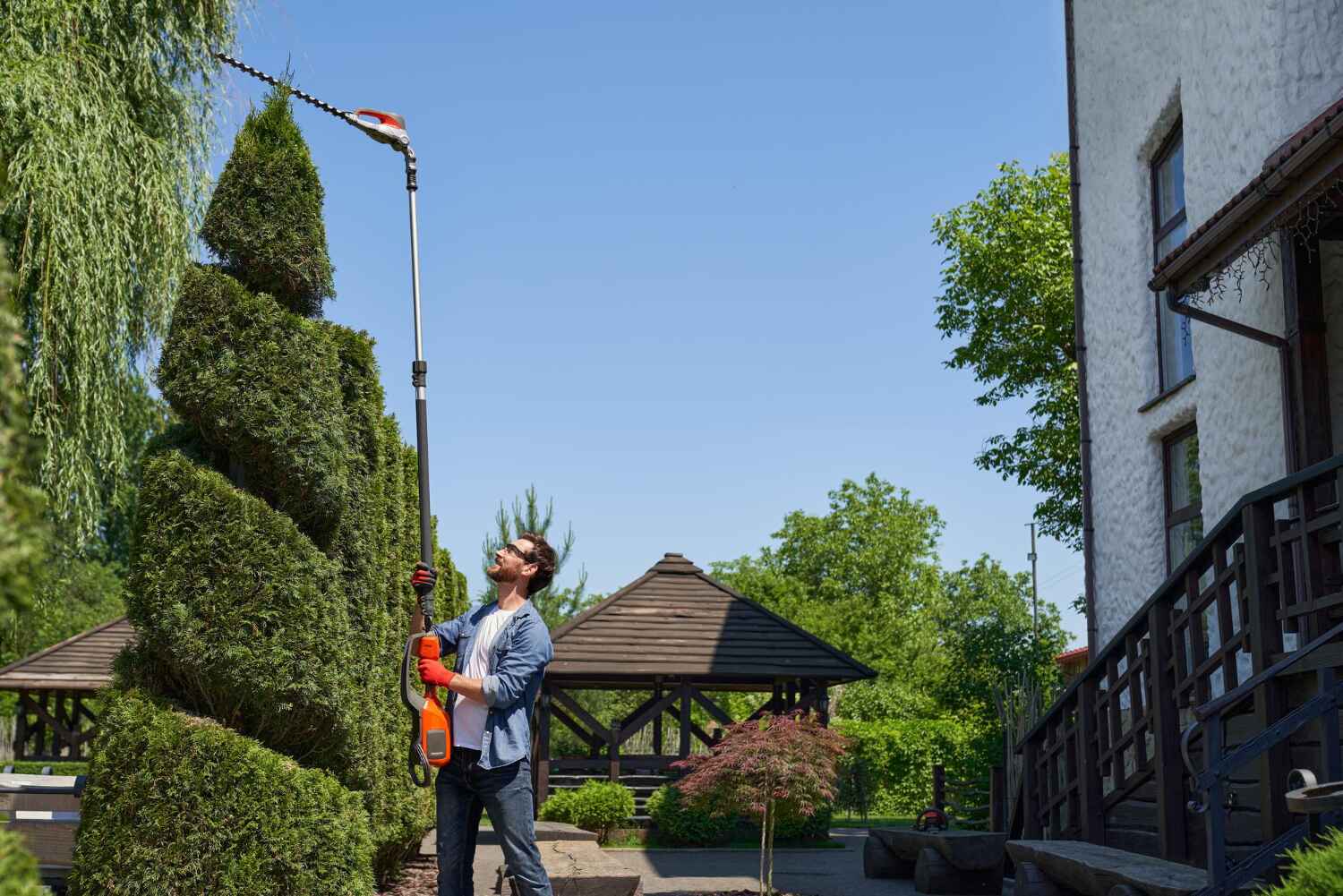 Best Affordable Tree Service  in Lewiston, MN